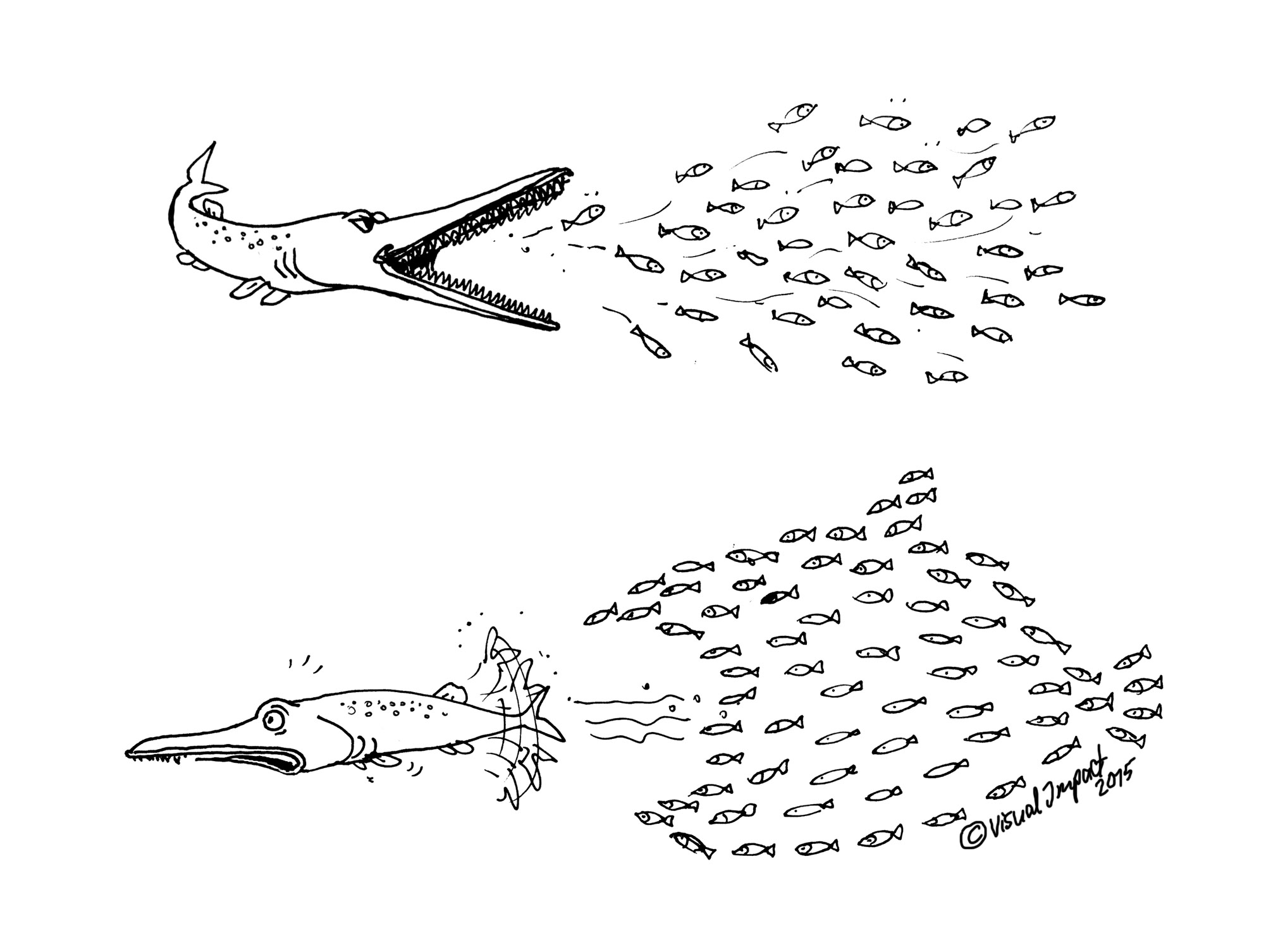 little-fishes-eat-big-fish